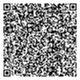 vCard 79585378041