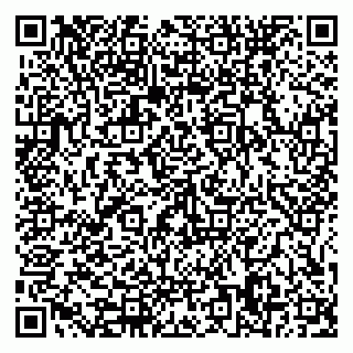 vCard 79585378049