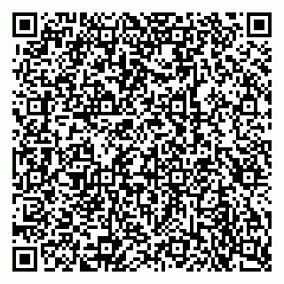 vCard 79585403729