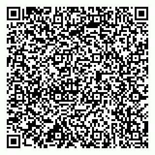 vCard 79585403732