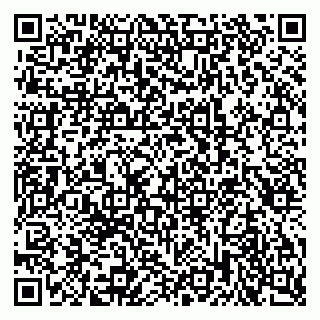 vCard 79585403784