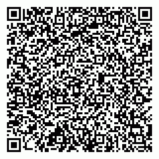 vCard 79585403801