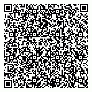 vCard 79585403829