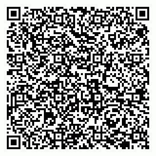 vCard 79585406631
