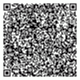 vCard 79585408433