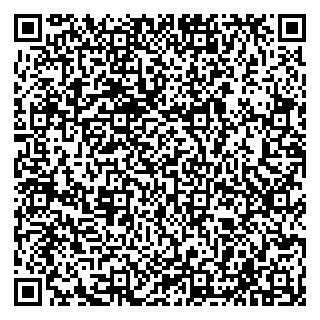 vCard 79585408531