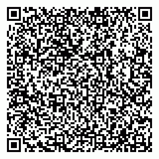 vCard 79585408685