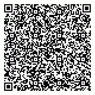vCard 79585408687