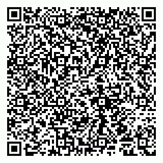 vCard 79585408700