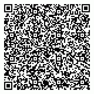 vCard 79585408703