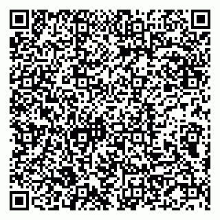 vCard 79585408711