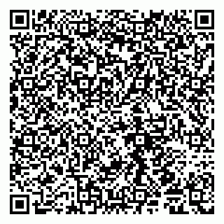 vCard 79585408723