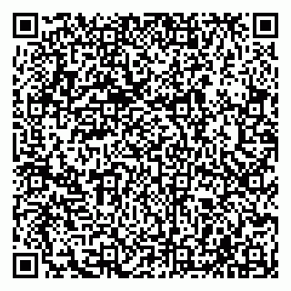 vCard 79585408727