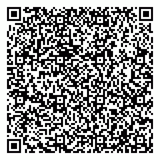 vCard 79585408731