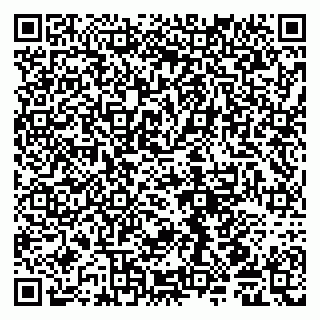 vCard 79585408732