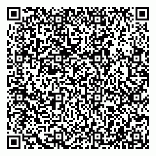 vCard 79585408737