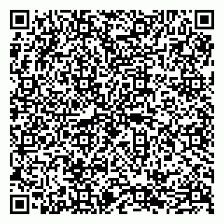 vCard 79585408773