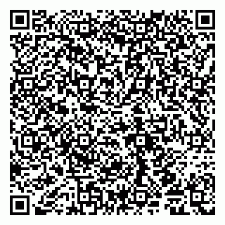 vCard 79585408803