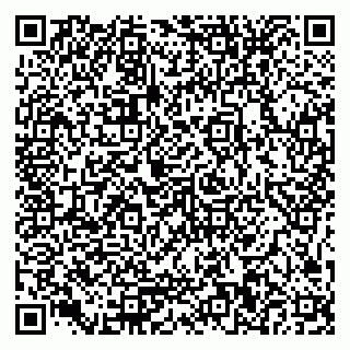 vCard 79585410771