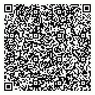 vCard 79585410782