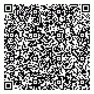 vCard 79585410789