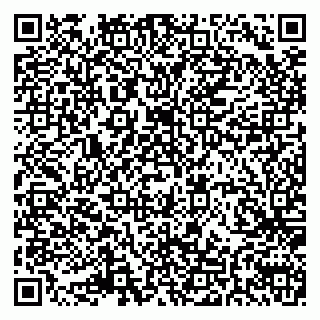 vCard 79585410803