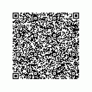 vCard 79585411173