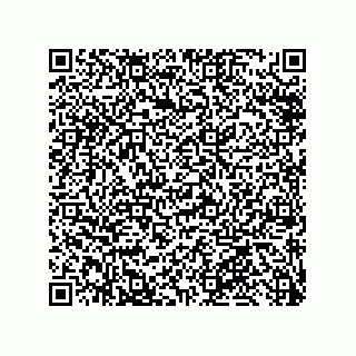 vCard 79585411174