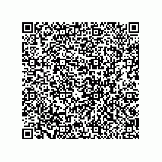 vCard 79585411175