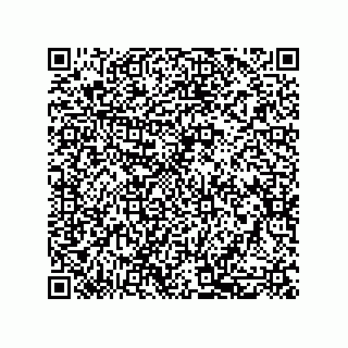 vCard 79585411219