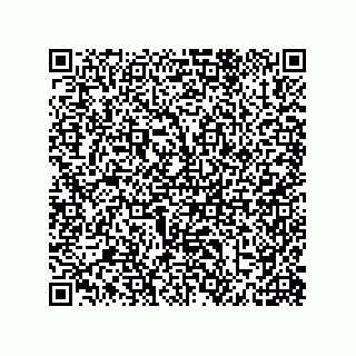 vCard 79585411235