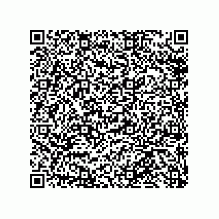 vCard 79585415402
