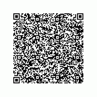 vCard 79585415404
