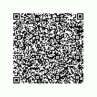 vCard 79585415407