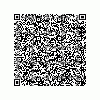vCard 79585415408