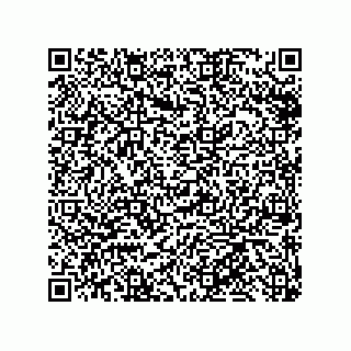 vCard 79585415411