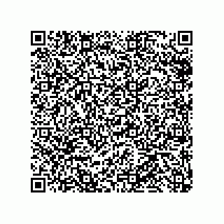 vCard 79585415413