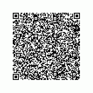 vCard 79585415513