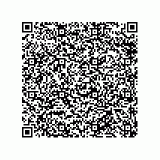 vCard 79585415581