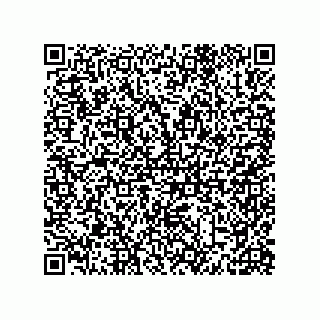 vCard 79585415617