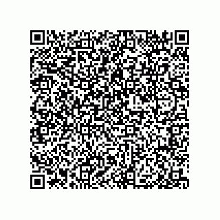 vCard 79585415631