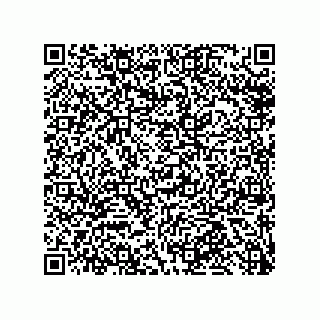 vCard 79585415704