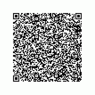 vCard 79585415731
