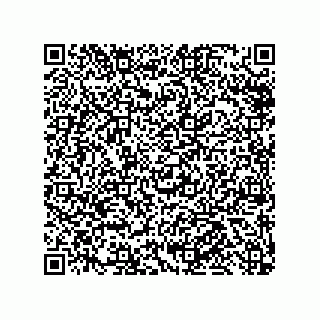 vCard 79585415733