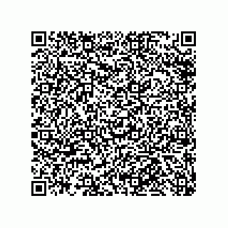 vCard 79585415741