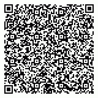 vCard 79585455872