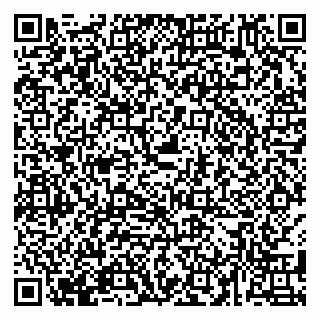 vCard 79585455936