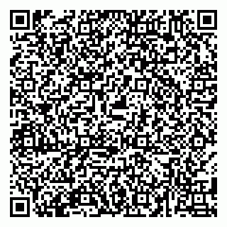 vCard 79585455937
