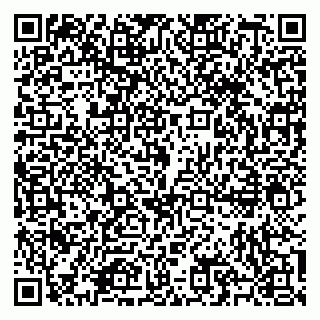 vCard 79585691295