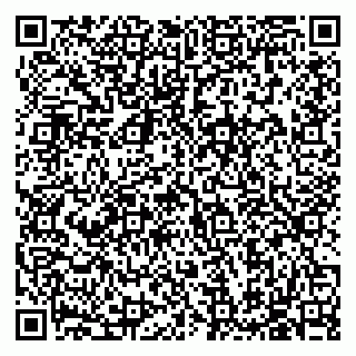 vCard 79585713300
